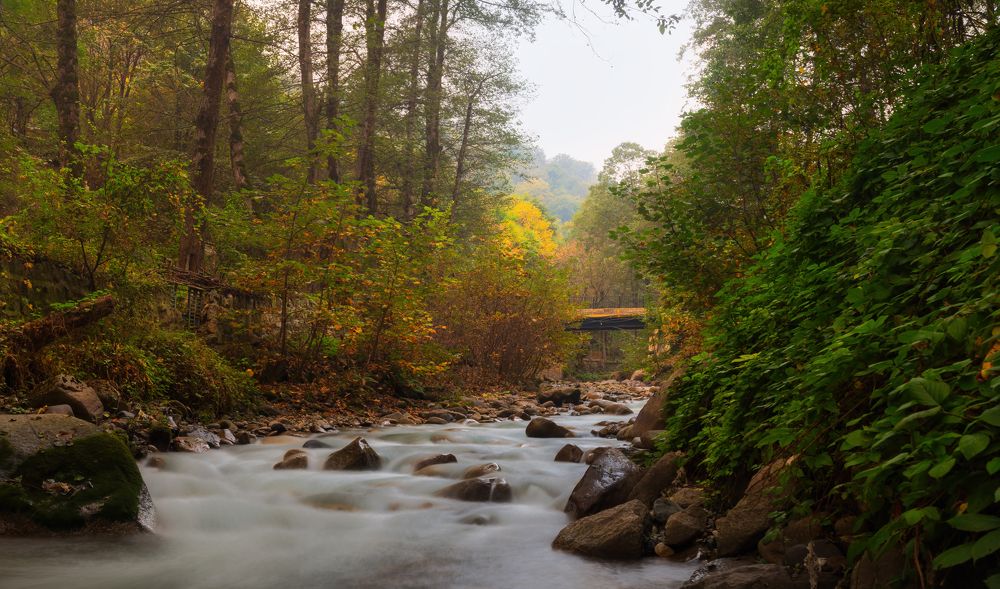 Photograph by Hamid espanani