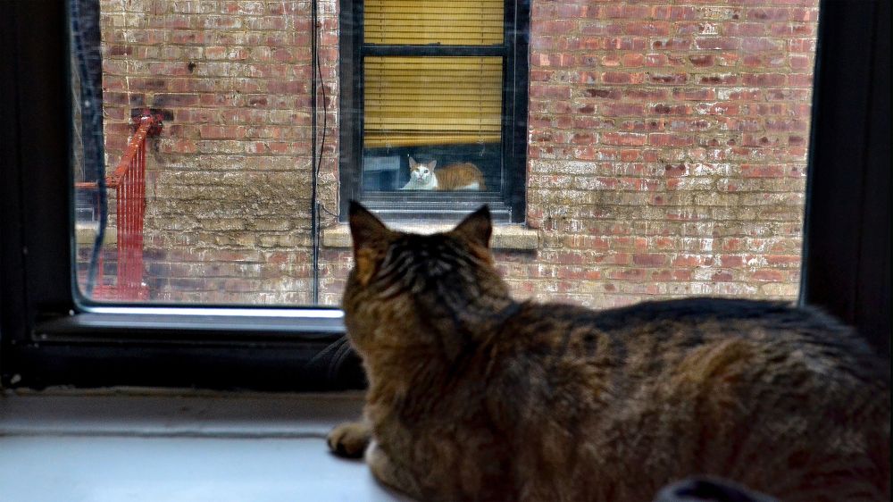 Photograph by Гришанов Пётр