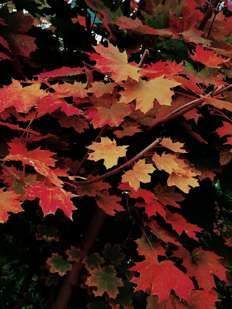 Photograph by Татьяна Гулакова