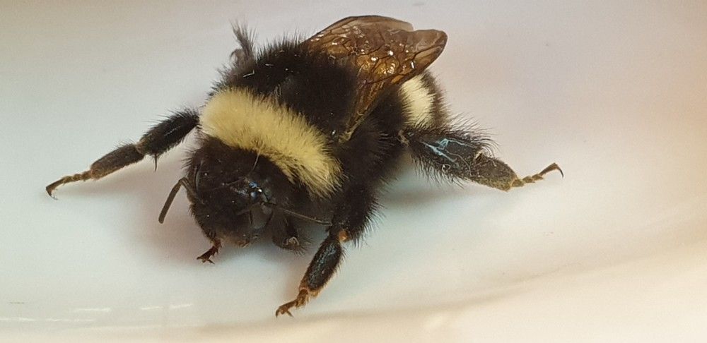 Photograph by Денис Заславский