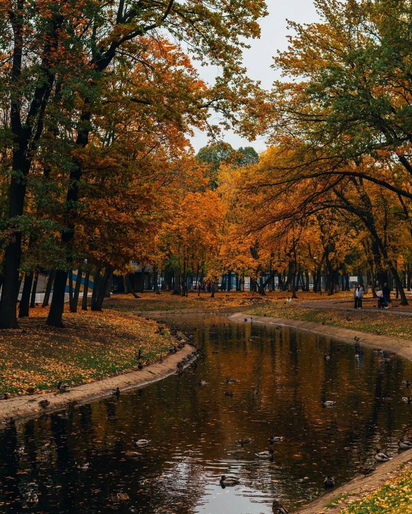 Photograph by таисия