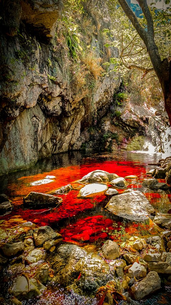 Rivers of Ouro Vermelho