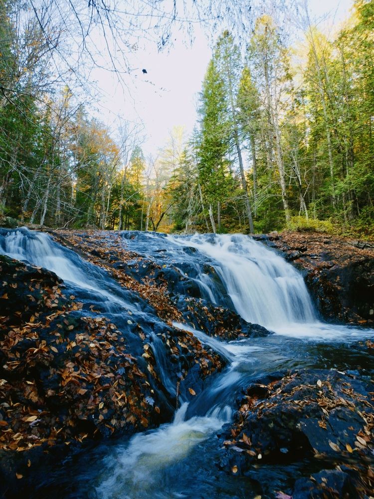 Photograph by Annie Trudel