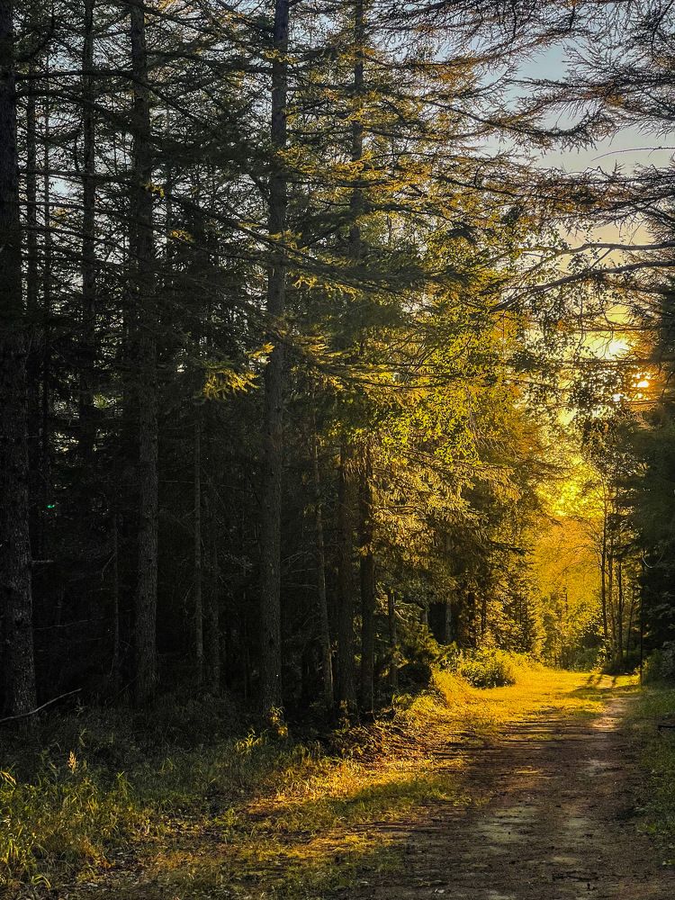 Photograph by Юлия