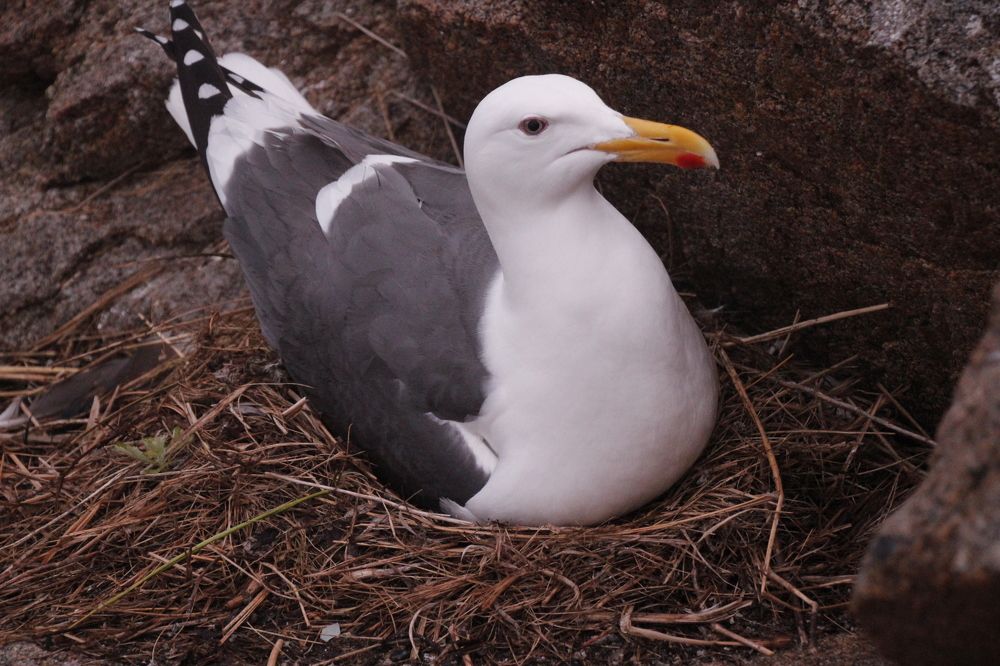 Photograph by Юлия