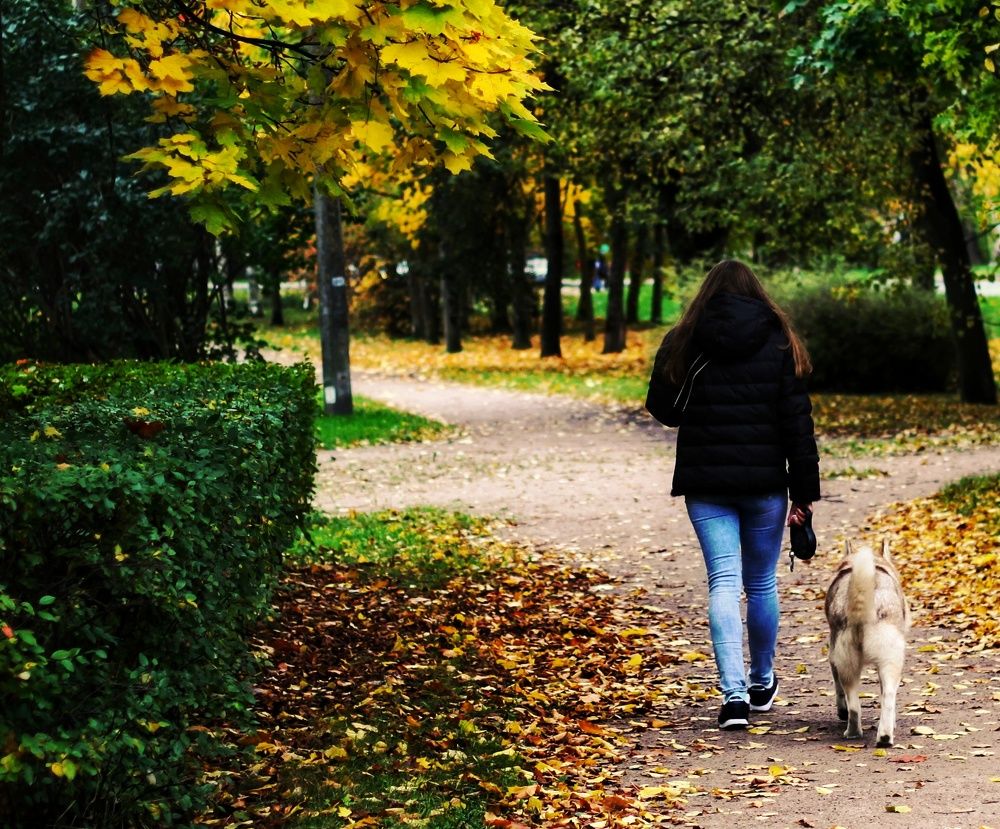 Фотография автора Сергей Яковлев