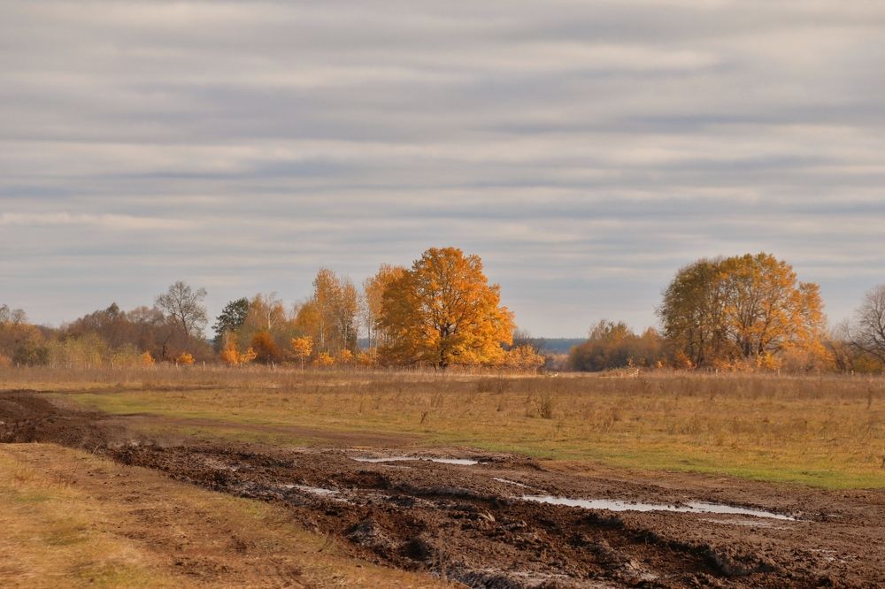 Photograph by Анна Любимова