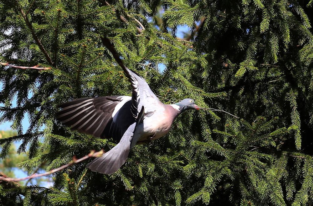Photograph by Андрей Стародубцев