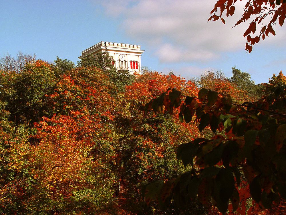 Фотография автора Всеволод