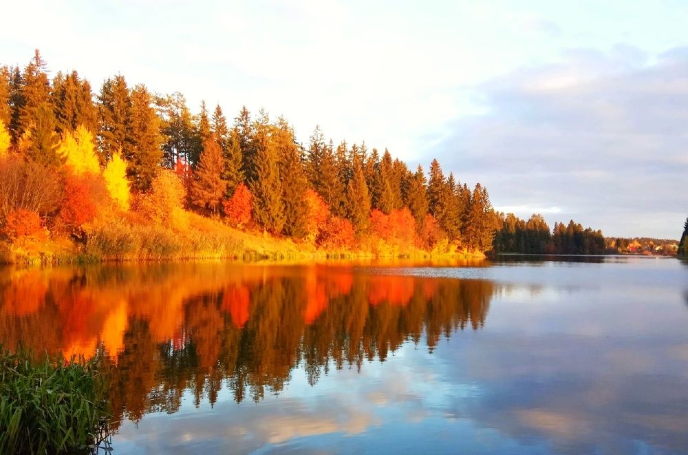 Photograph by Елена Дарьенко