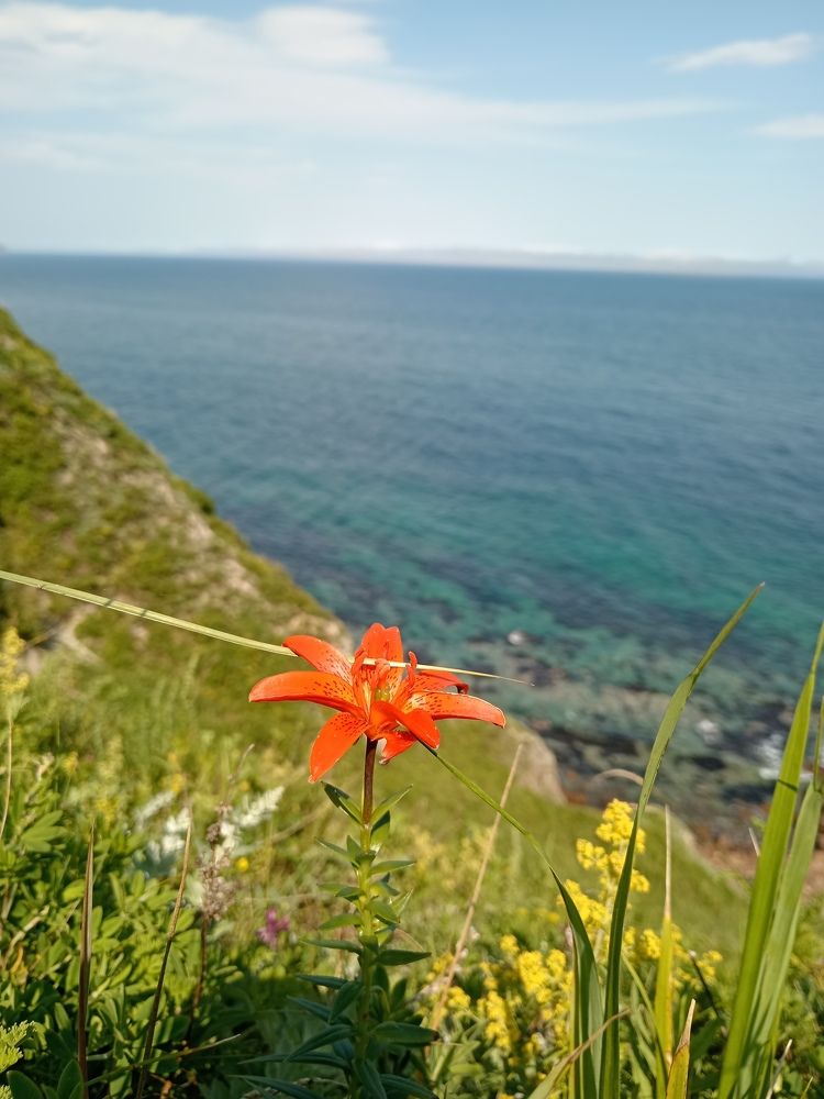 Photograph by Юлия Лихачева