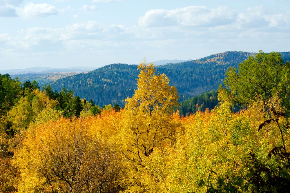 Photograph by Sergey Tyasto