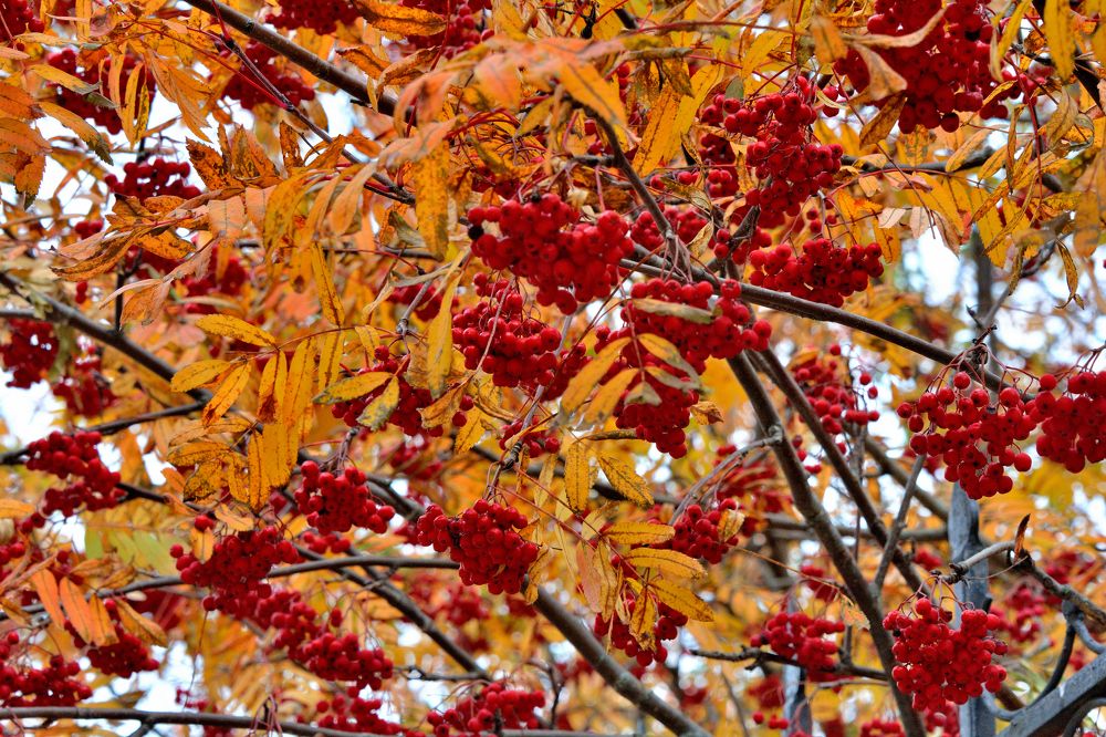 Photograph by Александр Зуев