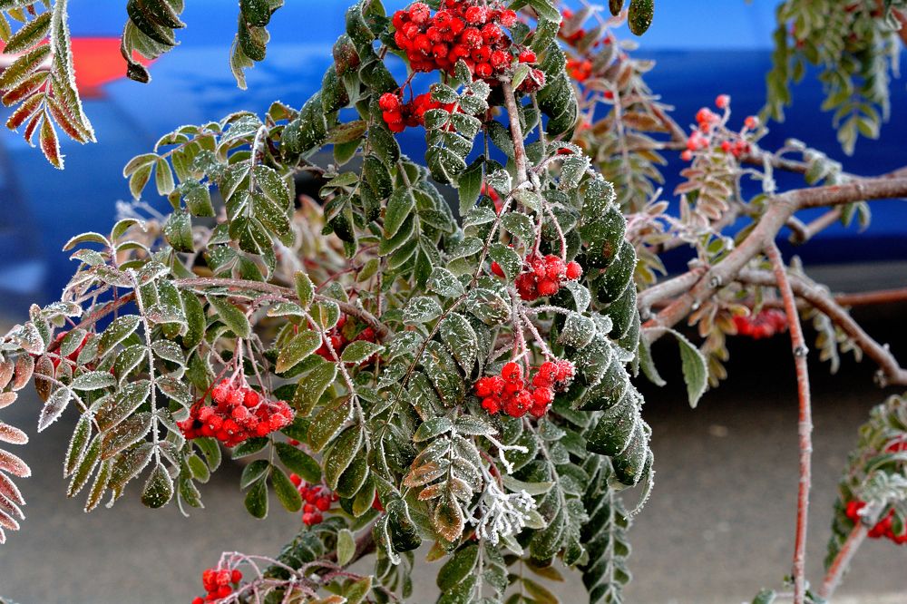 Photograph by Александр Зуев