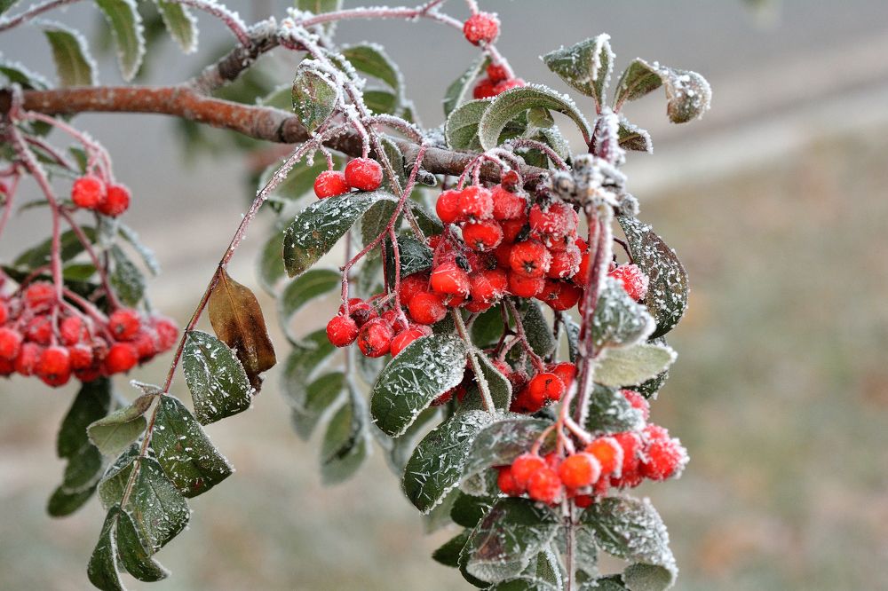 Photograph by Александр Зуев