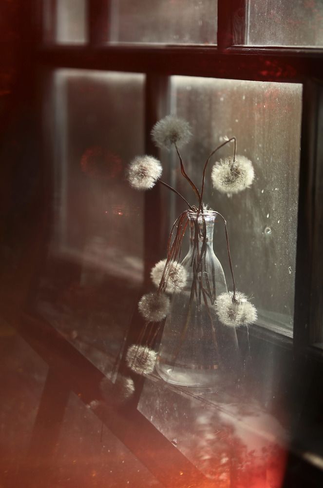 В вечерние часы