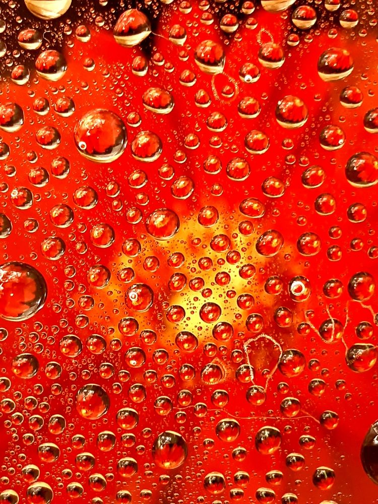 Photograph by Елена Ласун