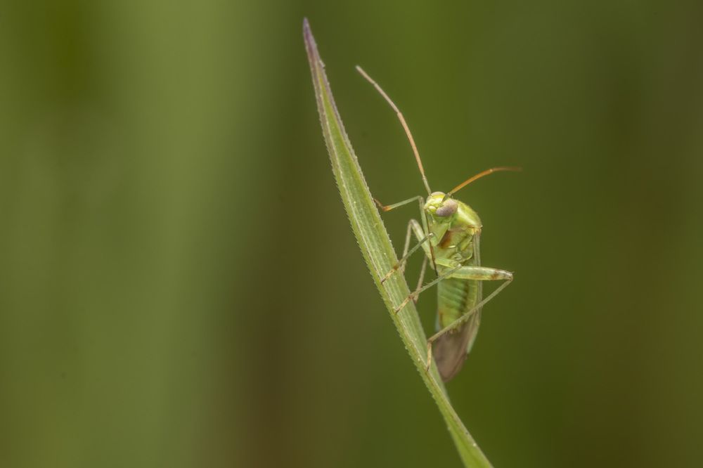 Фотография автора Nikolay Tatarchuk