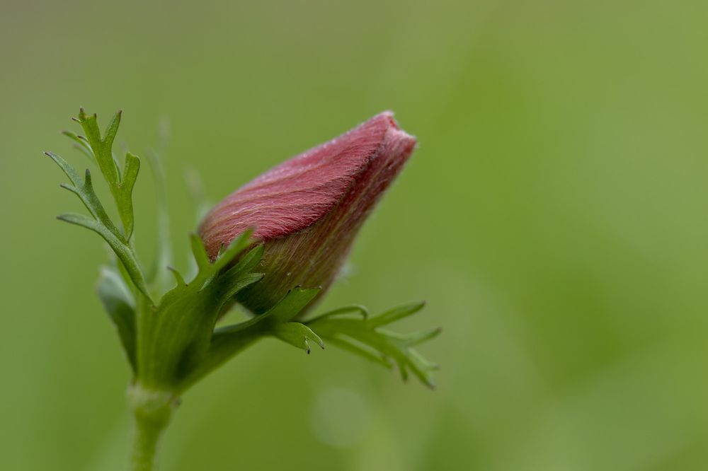 Фотография автора Nikolay Tatarchuk