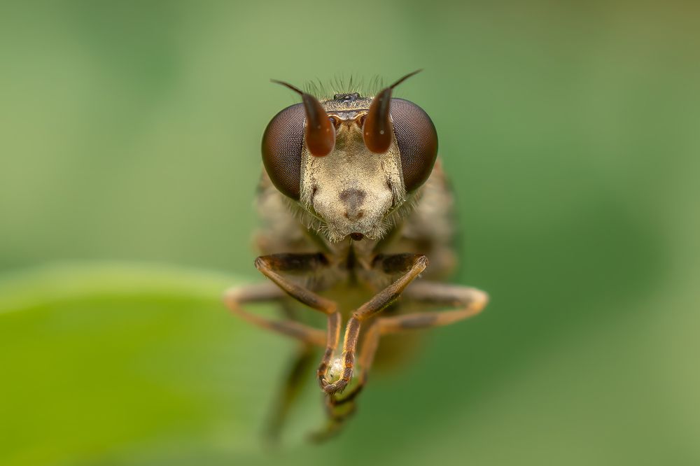 Фотография автора Nikolay Tatarchuk
