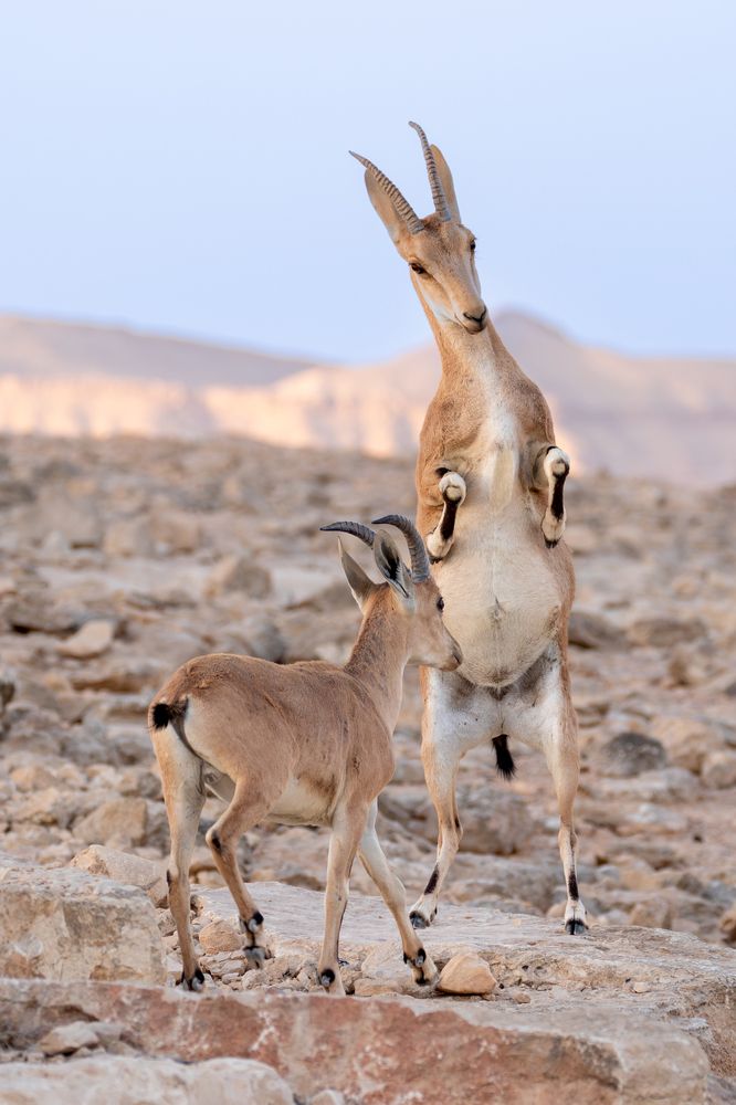 Фотография автора Nikolay Tatarchuk