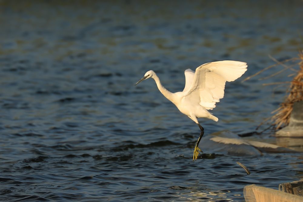 Фотография автора Nikolay Tatarchuk