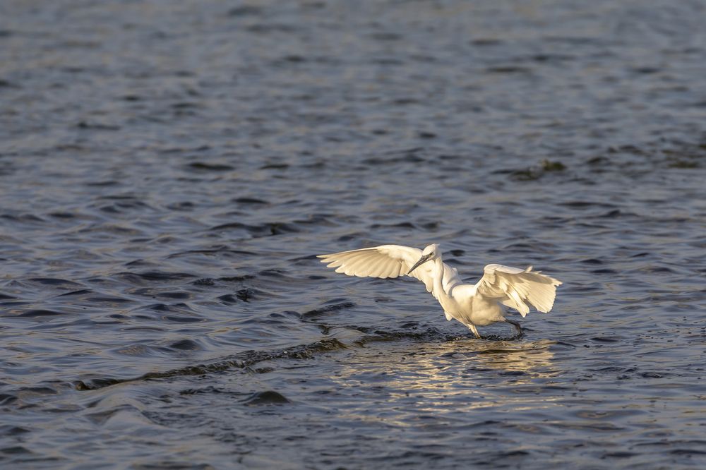Фотография автора Nikolay Tatarchuk