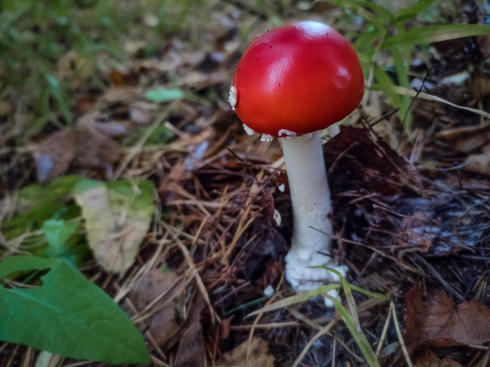 Photograph by Илья Воякин