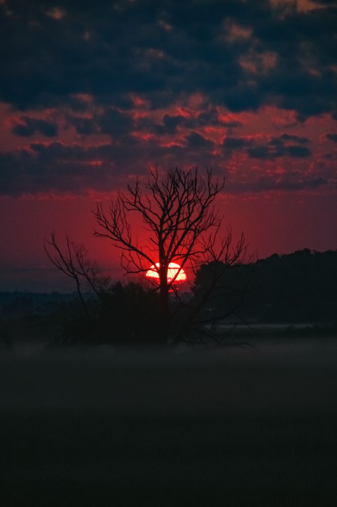 Photograph by Илья Воякин