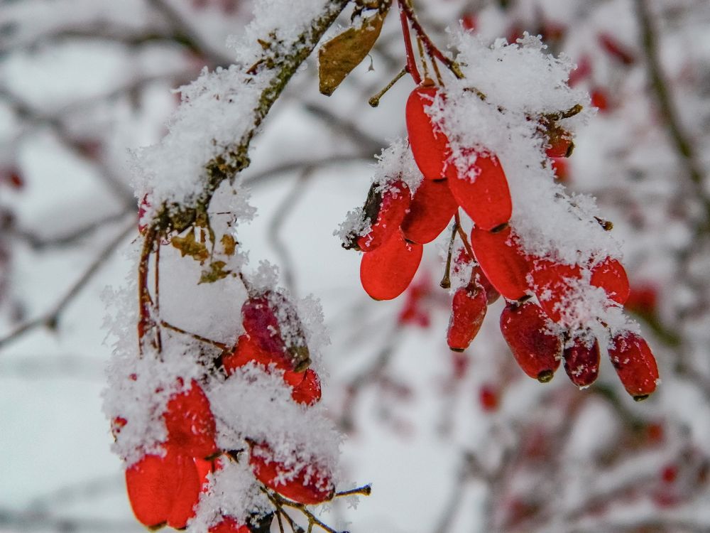 Photograph by Илья Воякин