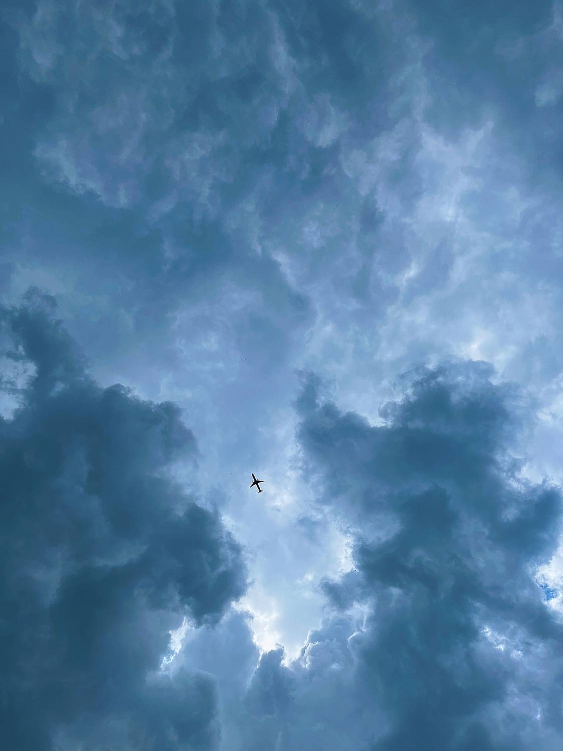 Photo #11203756