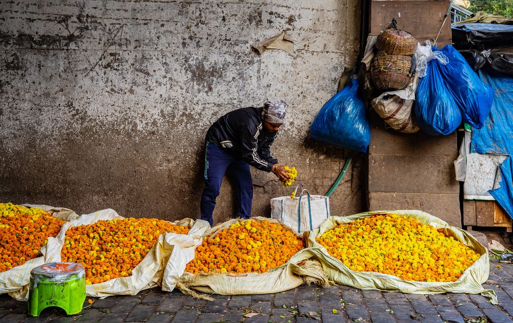 Photograph by Samrat Nag