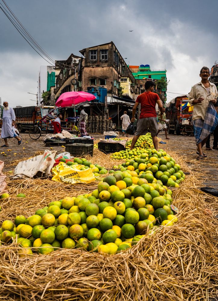 Photograph by Samrat Nag