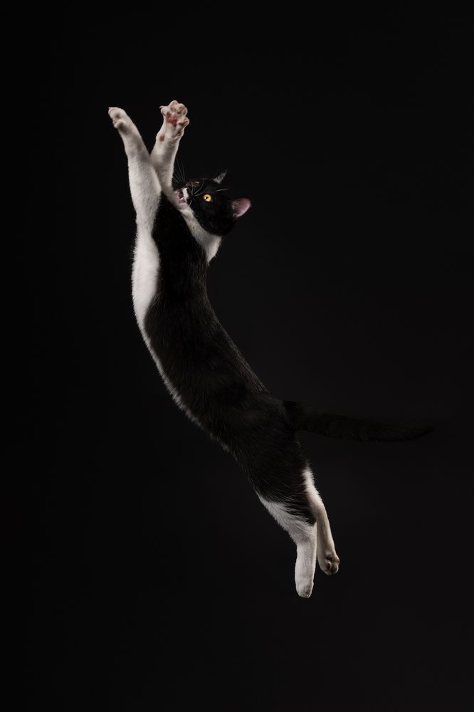 Photograph by Lu Wenyi