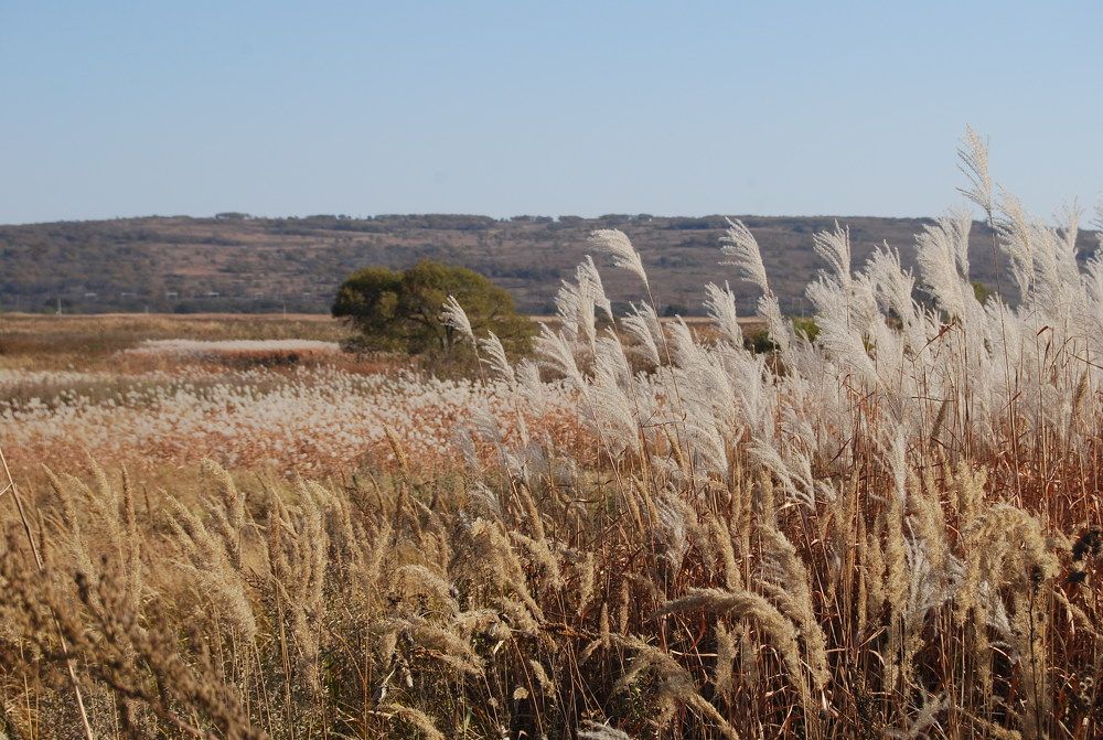 Photograph by Оксана Трофименко