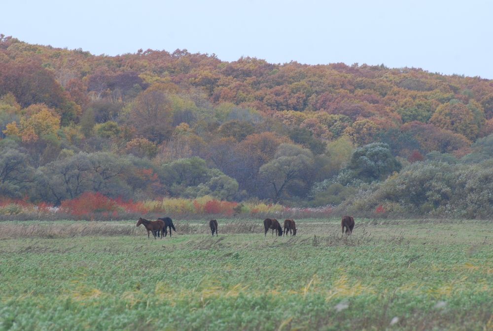 Photograph by Оксана Трофименко