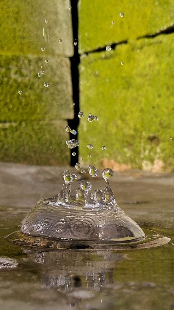 Фотография автора Светлана Анатольевна Чернышова