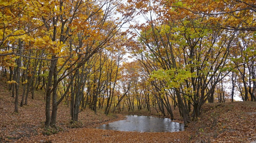 Photograph by Оксана Трофименко