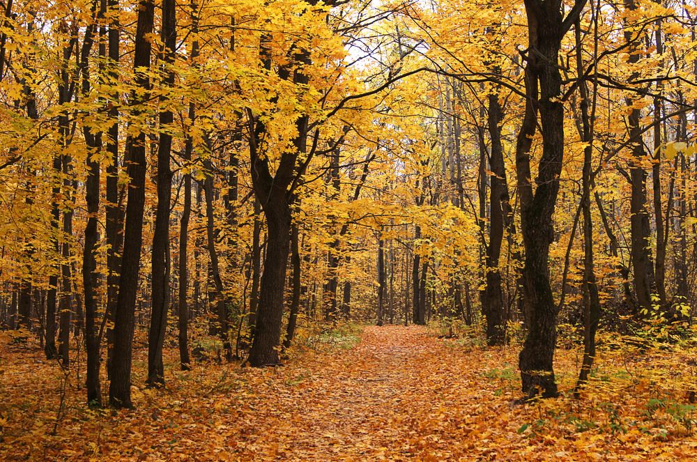 Photograph by Наталья Ильичёва