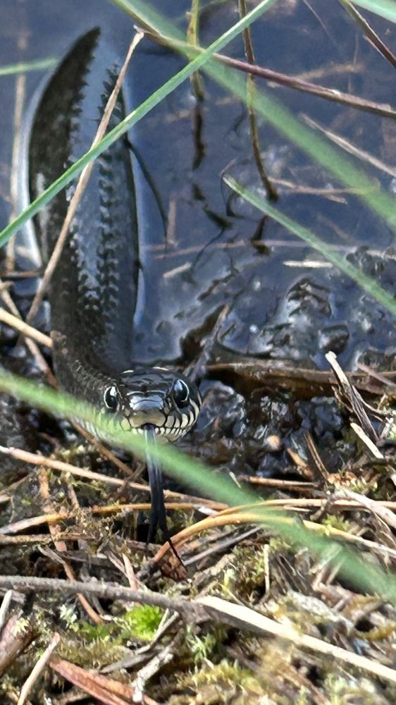 Photograph by Елена Гущина