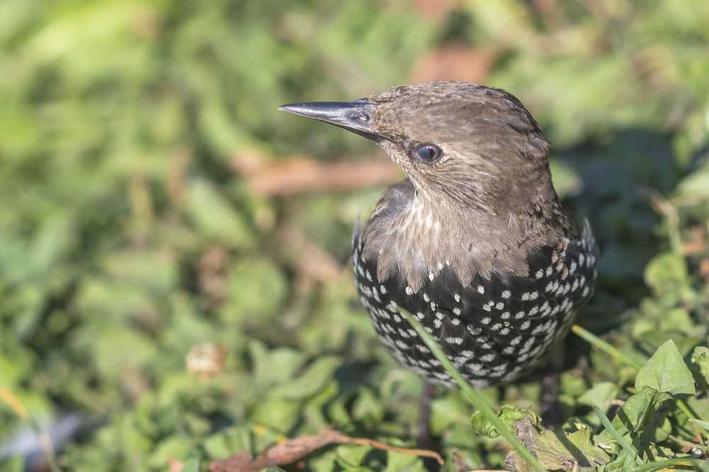 Photograph by Демьян Лопатов