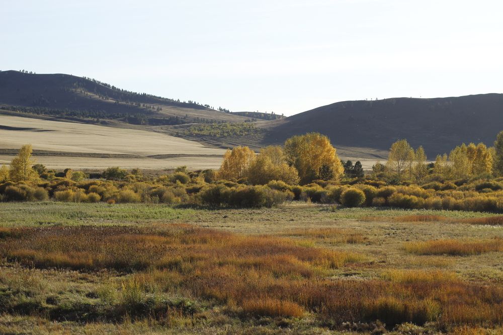 Photograph by Светлана Максимова