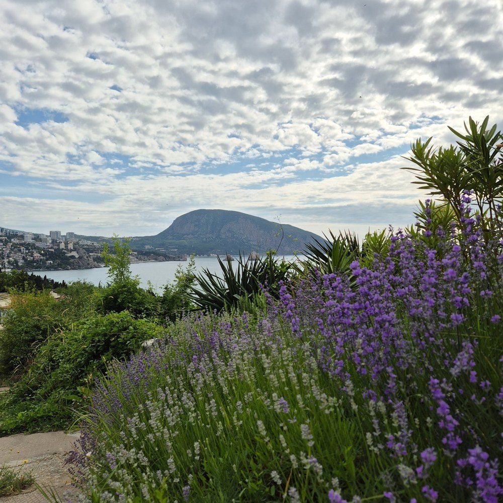 Photograph by Нина Старкова