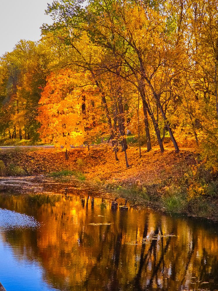 Photograph by Chic.chiquitita