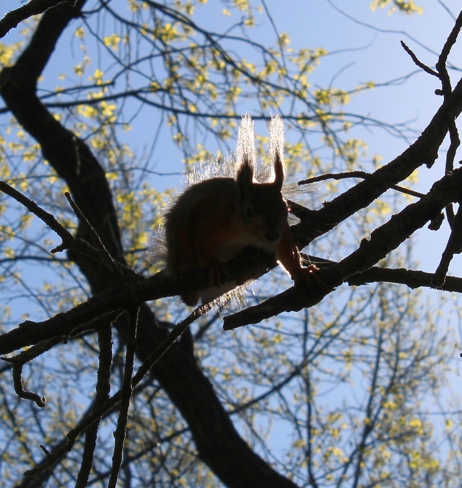 Photograph by Olga Bagaeva