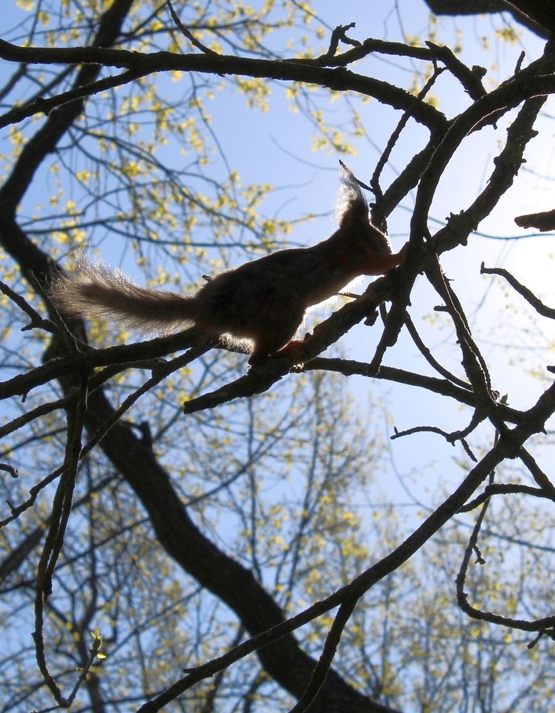 Photograph by Olga Bagaeva