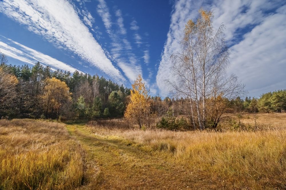 Photograph by Елена Ворошина