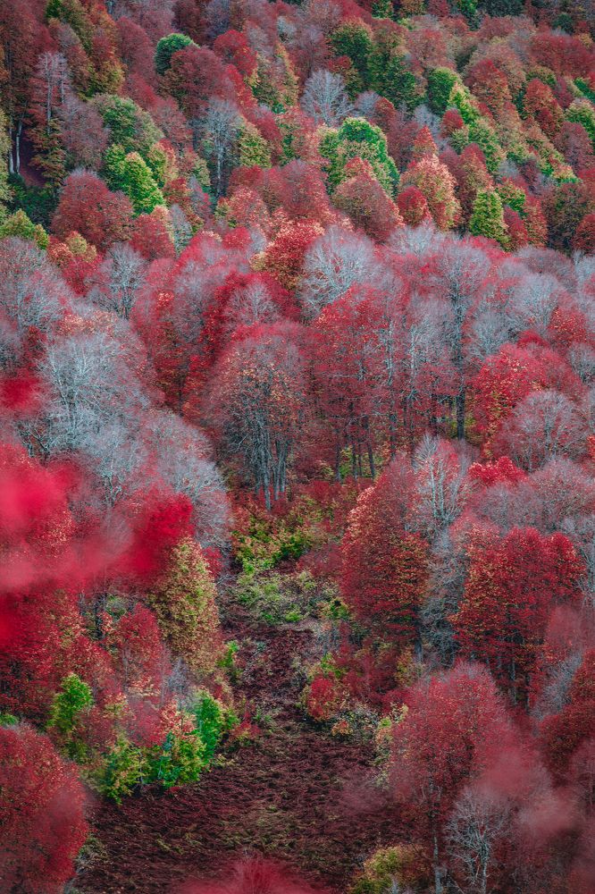 Фотография автора Вазген Бояджян