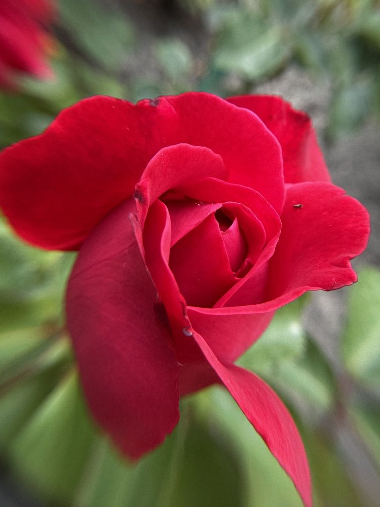 Photograph by Zhanna Kolesnikova