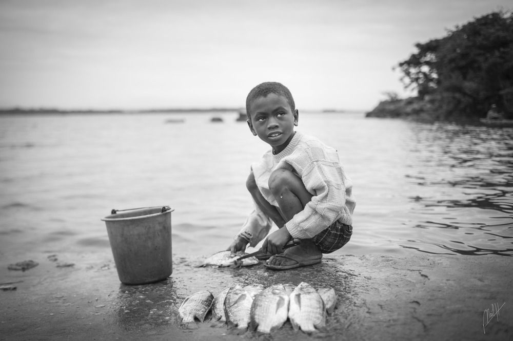 Фотография автора Ismail Hassanaly